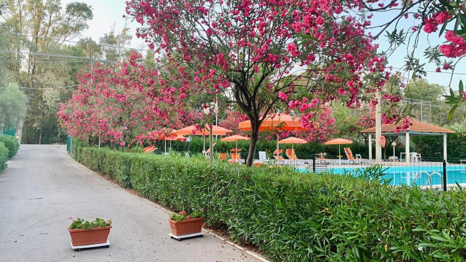 Viola Club Village & Camping Foce Varano Ngoại thất bức ảnh